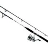 Daiwa D-Wave DWB Saltwater Spinning Combos 1 Daiwa D-Wave DWB Saltwater Spinning Combos -Fishing Equipment Store daiwa d wave dwb saltwater spinning combos 26363.1651075331.386.513