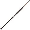 Penn Squadron II Surf Rods -Fishing Equipment Store penn squadron ii surf rods 69662.1650815042