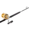 Penn International 50VISW / TackleDirect Platinum Hook Standup Combo 1 Penn International 50VISW / TackleDirect Platinum Hook Standup Combo -Fishing Equipment Store tackledirect platinum hook tdps645080wtsin penn 50vsw gold combo 61476.1651325905
